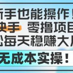 2024最新暴利副业！手残党日入500+秘籍🔥当天提现0门槛！无押金永久躺赚攻略