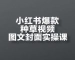 小红书爆款种草从0到1速成班：3天学会吸金封面制作+精准选品引流，新手轻松月入10万实战指南