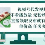 2024最新视频号躺赚玩法！0门槛日入500+无需剪辑文案当天发布秒到账（附内部渠道）