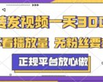 疯传！日入300+零门槛副业，官方认证无粉丝要求，新手秒上手提现秘籍大公开！