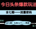 避坑指南｜头条项目全7期爆款拆解：99%必踩雷区+日入过万变现攻略