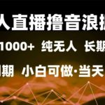 24小时无人直播暴利掘金！日赚2000+零门槛当天提现 内测渠道限时开放