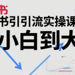 小红书3天引流爆款秘籍：零基础日涨粉1000+实操教程，手把手教学从小白到大神！