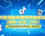 2025抖音涨粉新玩法：二次元赛道爆火秘籍+5天狂吸万粉攻略，零基础起号课7天见效（附流量密码）