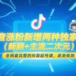 2025抖音涨粉新玩法：二次元赛道爆火秘籍+5天狂吸万粉攻略，零基础起号课7天见效（附流量密码）