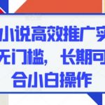 2025小说暴利推广新法！零成本躺赚日入过千，新手3天见效无门槛项目，月入过万攻略大揭秘