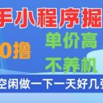 快手小程序赚钱秘籍：零成本日赚500+！手把手教学高单价项目，无需养机空闲时间轻松提现【限时福利】🔥
