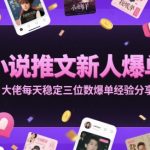 小说推文新手必看！日赚300+爆单秘籍大公开，7天快速变现攻略