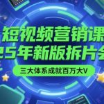 2025全新升级版短视频营销课：零基础小白3个月涨粉百万实战指南+爆款拆解直播课限时赠