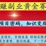 2025最暴利副业曝光！日赚1000+躺赚攻略大公开 小白秒上手收割变现秘籍