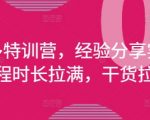 🔥2025拼多多运营特训营：三天爆单秘籍+从0到1实操，月入10万实战攻略（4月最新）💰