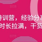 🔥2025拼多多运营特训营：三天爆单秘籍+从0到1实操，月入10万实战攻略（4月最新）💰