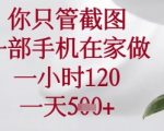 2024最新手机截图暴利副业！在家日赚1000+，新手当天见效，操作流程全曝光！
