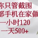 2024最新手机截图暴利副业！在家日赚1000+，新手当天见效，操作流程全曝光！