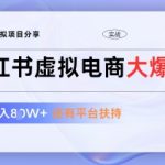 小红书虚拟电商2024最新玩法：零成本躺赚10W+，平台免费流量狂飙，1拖3暴利模式小白三天上手！
