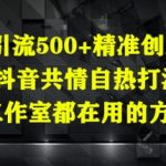抖音创业粉引流暴利秘籍：3天狂揽1000+精准客户！工作室内部自热打法全解析（附日赚500+实操方案）