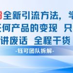 粉引流日赚1000+实操秘籍！3天爆粉变现攻略，揭秘收割男性市场的终极野路子