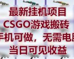 2025最火CSGO搬砖暴利项目！手机一键操作日赚千元，0门槛新手速成攻略【全程干货】