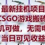 2025最火CSGO搬砖暴利项目！手机一键操作日赚千元，0门槛新手速成攻略【全程干货】