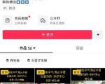 天涨粉10W+的五音疗愈暴击流量术：零基础2小时做出爆款养生视频，手把手教你躺赚短视频红利！