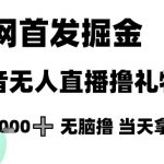 抖音无人直播暴利玩法！单号日赚1000+零门槛教程，新手当天见效【内幕全曝光】