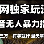 抖音无人直播暴力撸金新玩法！7天狂赚5W+小白速成秘籍（附内部资料）