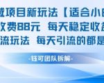 私域流量暴利项目！新手日入500+的终极指南，88元单笔收益轻松躺赚