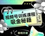 视频号吸金秘籍：7天训练课程SEO优化指南，流量翻倍必看！