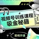 视频号吸金秘籍：7天训练课程SEO优化指南，流量翻倍必看！