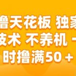 独家揭秘零撸天花板技术！一小时狂撸50+无设备需求终极赚钱法