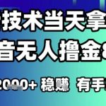 2025抖音无人直播暴利技术揭秘：AI驱动日入千元SEO优化终极指南！