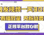 【揭秘】日赚300+！正规平台0粉丝0播放要求，手机随时可做