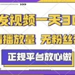 【揭秘】日赚300+！正规平台0粉丝0播放要求，手机随时可做