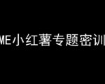 小红书电商2024终极秘籍：7天爆款训练营，日赚万元不是梦！