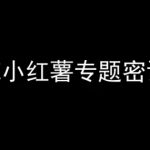 小红书电商2024终极秘籍：7天爆款训练营，日赚万元不是梦！