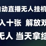 2025躺赚新风口！AI智能无人直播日入3000+保姆级教程【当天见效·解放双手】 （优化要点说明：