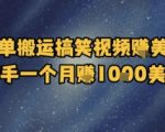 疯狂搬运搞笑视频赚美金，新手轻松月入1000美金暴利秘籍！