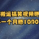 疯狂搬运搞笑视频赚美金，新手轻松月入1000美金暴利秘籍！