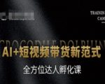AI短视频带货爆款秘籍：零门槛月入十万，全方位达人孵化必修课