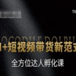 AI短视频带货爆款秘籍：零门槛月入十万，全方位达人孵化必修课