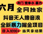 2025抖音无人直播爆赚撸音浪项目！小白零门槛日入2500+，无脑操作矩阵放大躺赚秘籍【最新揭秘】