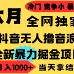 2025抖音无人直播爆赚撸音浪项目！小白零门槛日入2500+，无脑操作矩阵放大躺赚秘籍【最新揭秘】
