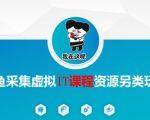 闲鱼虚拟IT课程资源采集秘籍：另类玩法引爆流量，干货满到溢！