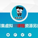 闲鱼虚拟IT课程资源采集秘籍：另类玩法引爆流量，干货满到溢！