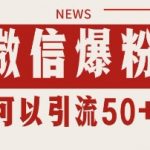 微信视频号爆粉秘籍：简单3步日引1000+精准流量，单号日进50人全流程拆解【免费领取】