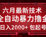 六月高效全自动撸金技术，单号日入2K+小白实操，名额有限抓紧上车【技术揭秘】