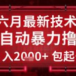 六月高效全自动撸金技术，单号日入2K+小白实操，名额有限抓紧上车【技术揭秘】