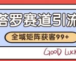 小红书抖音塔罗引流神技：自热矩阵日引500+精准粉，爆单秘籍大公开！