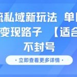 男粉引流私域变现秘籍：单日收益1000+，小白零门槛爆赚不封号神技
