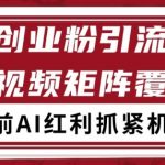 小红书抖音创业引流终极爆款：自热矩阵日引500+秘密武器大揭秘！